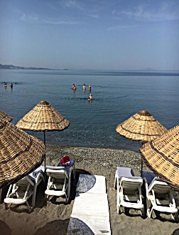 Genel